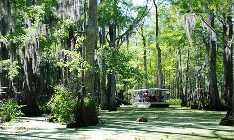 Slidell La 2024 Best Places To Visit Tripadvisor