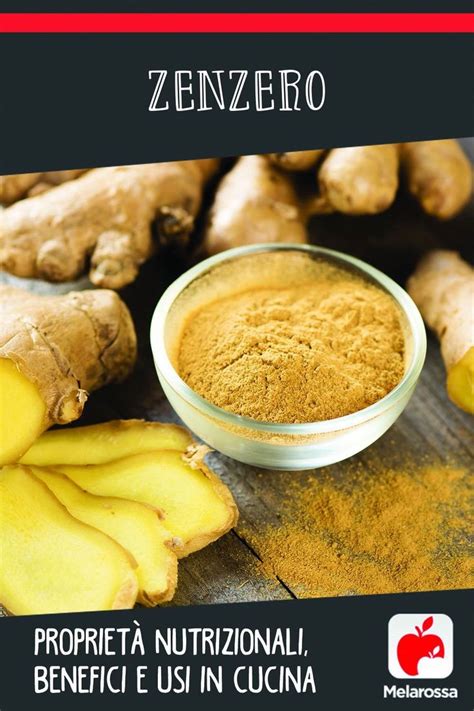 Benefits Of Ginger Powder Sonth For Skin And Health Artofit