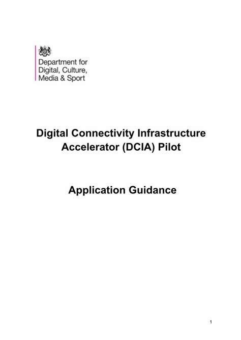 PDF Digital Connectivity Infrastructure Accelerator Pilot DOKUMEN TIPS