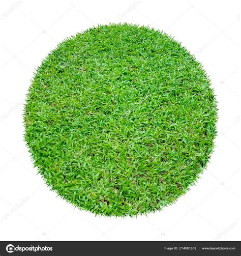 Abstract Green Grass Texture Background Circle Green Grass Pattern