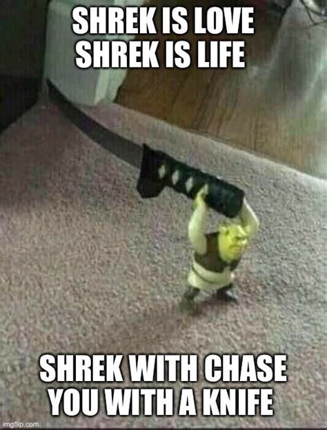 Shrek Imgflip