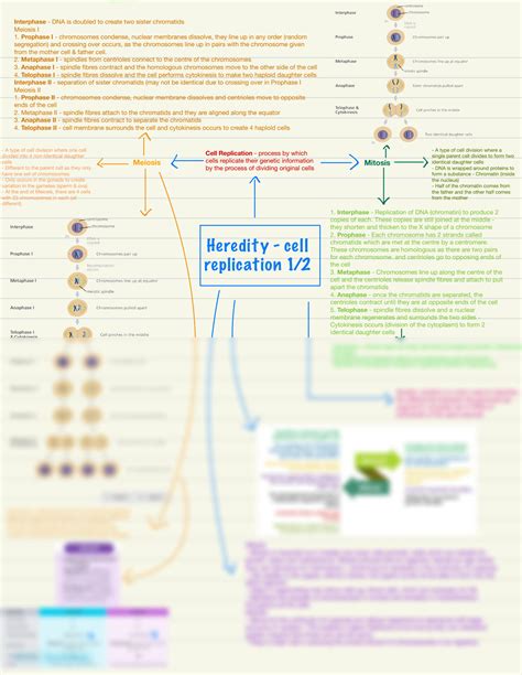 SOLUTION: Biology HSC concept maps - Studypool