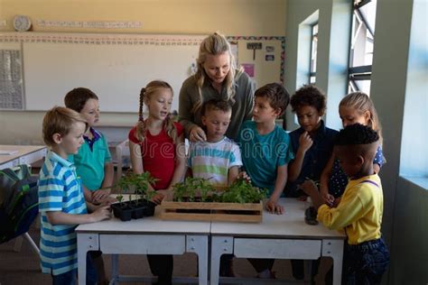 Female Teacher Around A Box Of Plants For A Nature Study Lesson In An