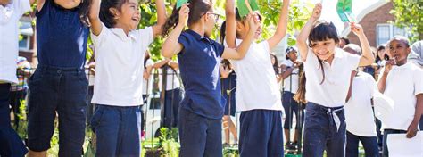 What Is A Healthy School Healthy Schools Campaign