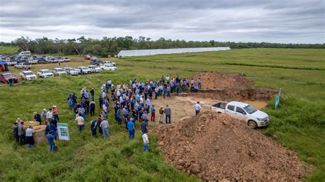 Consorcio de pasturas la clave para cobertura en zonas de transición