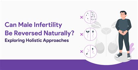 Can Male Infertility Be Reversed Naturally Exploring Holistic