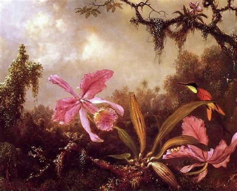 Orchids And Crimson Topaz Hummingbird Painting By Martin Johnson Heade