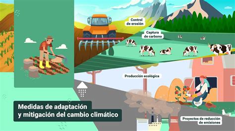 Medidas de adaptación y mitigación del cambio climático YouTube