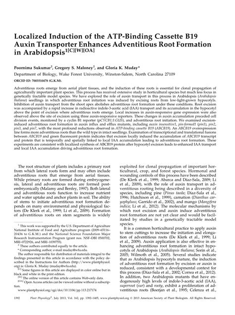 PDF Localized Induction Of The ATP Binding Cassette B19 Auxin