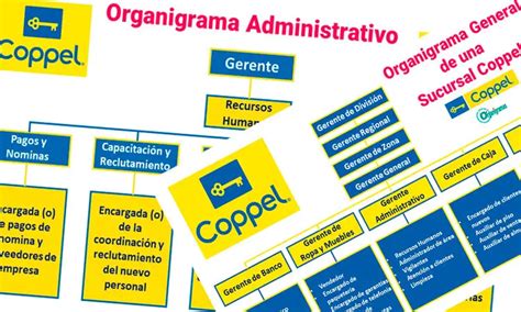 Organigrama General De Coppel Caracter Sticas Elementos Funciones