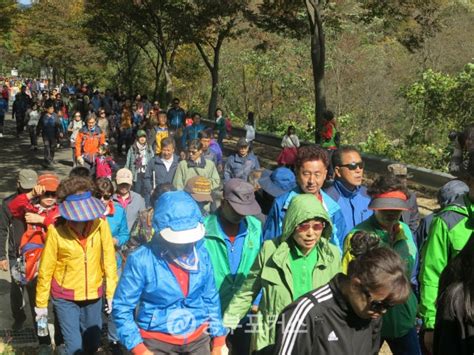 ‘제1회 장령산치유의 숲 건강걷기대회 500여명의 참여 속에 성료 중부포커스