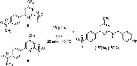 Radiosynthesis Of 18 F 1a R CH 3 And 18 F 2a R NH 2