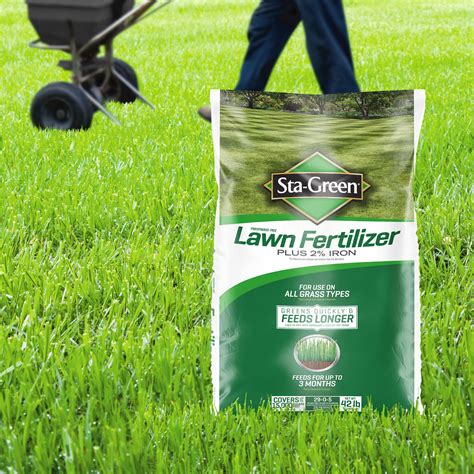 What The Best Fertilizer For Grass Storables