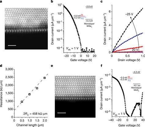 CVD Grown Monolayer MoS2 And WSe2 With High Work Function Metal