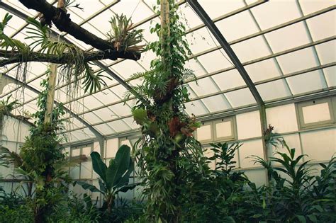 SUPER EASY DIY INDOOR GREENHOUSE IDEAS