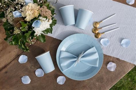 Assiette ronde carton biodégradable de 22 5cm Bleu REF 7409