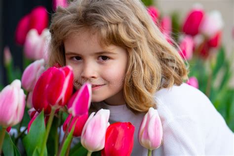 Child In Tulip Flower Field In Holland Kid In Tulips Fields In The