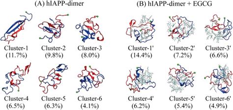 Conformational Ensemble Of Hiapp Dimer Insight Into The Molecular