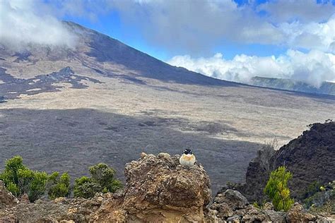 La R Union C Au Ma Do Au Volcan Cette Nuit Avant Une Journ E