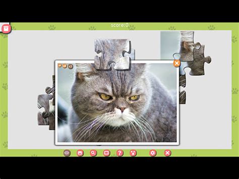 1001 Jigsaw Cute Cats 3 IPad IPhone Android Mac PC Game Big Fish