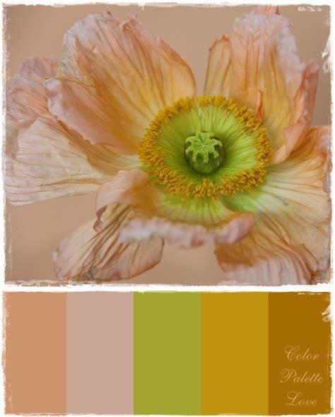 Muted Color Palette Colour Schemes Muted Colors Color Trends Color