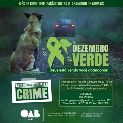 Dezembro Verde Oab Go Lan A Campanha Contra Abandono De Animais Oab