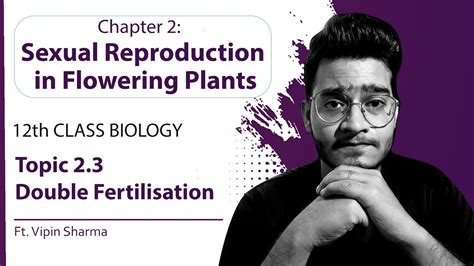 Topic 23 Double Fertilisation Sexual Reproduction In Flowering