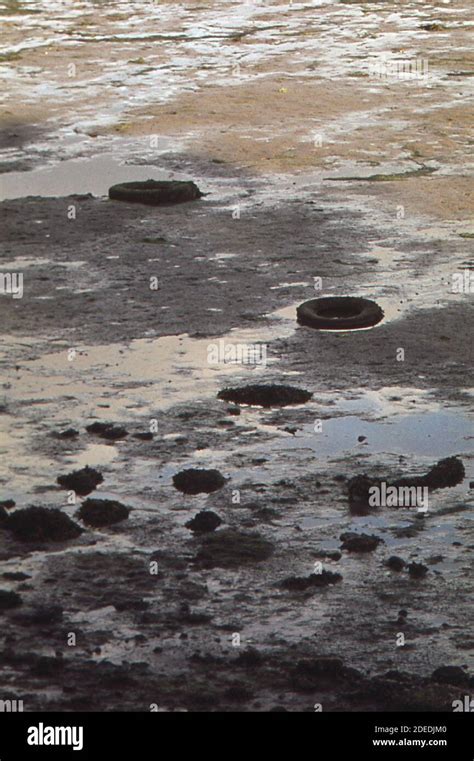 Water Pollution 1970s Hi Res Stock Photography And Images Alamy