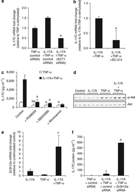 Combined Interleukin Il 17atnf Tumor Necrosis Factor α Induced