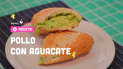 POLLO CON AGUACATE YouTube