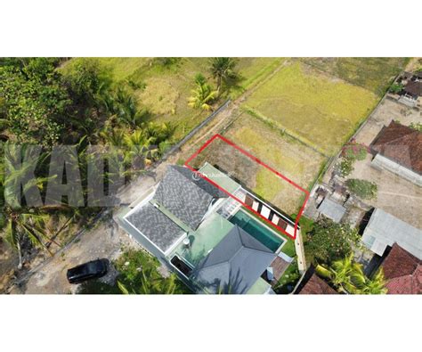 Jual Tanah Murah M Lodtunduh Ubud Harga Ngeo Di Gianyar Tribun