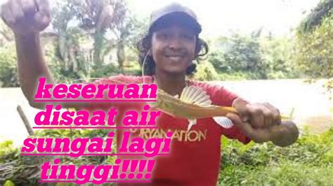 MANCING BAUNG KUNING SAAT SUNGAI BANJIR YouTube