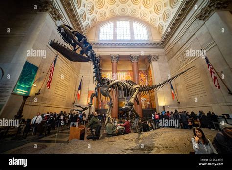 Wide Angle View Inside The Theodore Roosevelt Rotunda The Main