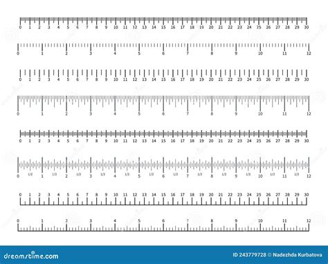 Ruler Scales Different Measuring Units Rule Divisions With Numbers