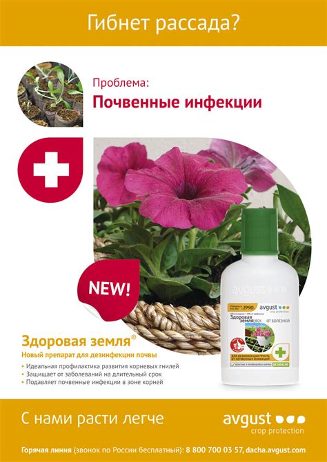 Здоровая земля® – купить препарат Здоровая земля® оптом по цене ...
