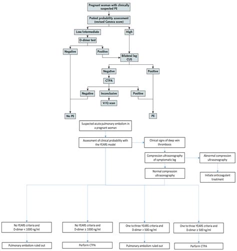 Diagnosis Of Pulmonary Embolism During Pregnancy Encyclopedia Mdpi