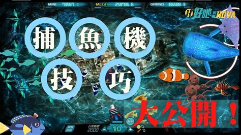 【捕魚機打法】內行人才懂得3招實用攻略打法 照著做獲利好幾萬 Hoya娛樂城