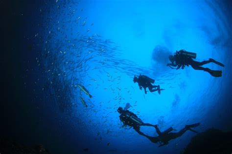 15 Best Places For Scuba Diving In Florida - Florida Trippers