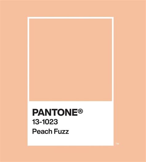 Pantone Color Of The Year 2024 13 1023 Peach Fuzz Peach Fuzz