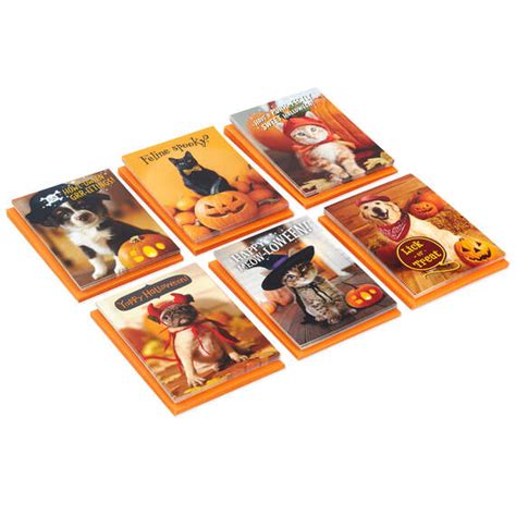 Pet Puns Boxed Halloween Cards Assortment, Pack of 48 - Boxed Cards | Hallmark