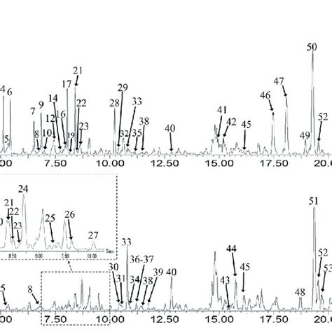 Base Peak Ion Bpi Chromatograms Of Xpo A And Gpo B In The