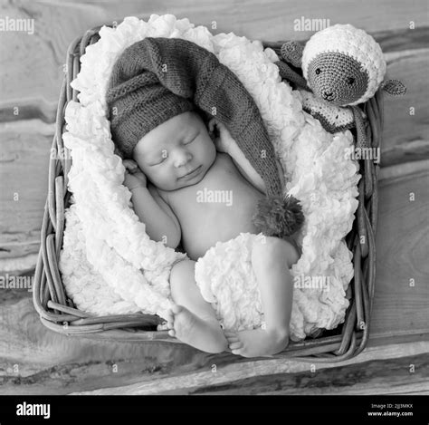 Newborn Baby In Basket Black And White Stock Photos And Images Alamy