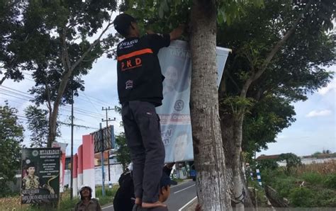 Bawaslu Jember Tertibkan Kembali Alat Peraga Kampanye Melanggar Suara