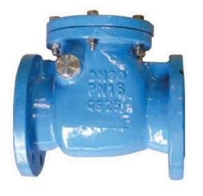 Ductile Iron NRV Non Return Valve Check Valve Pipeline Product