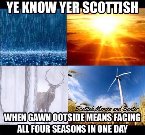 Épinglé Sur All Things Scottish Trucs Drôles Humour Drôle