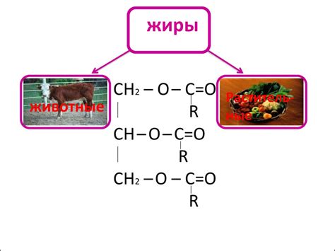 Химия и пища - презентация онлайн