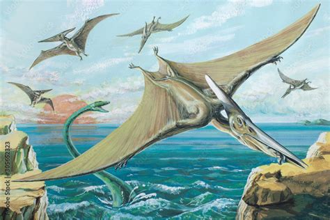 Pteranodon One Of The Largest Ever Flying Reptiles With A Wingspan Of