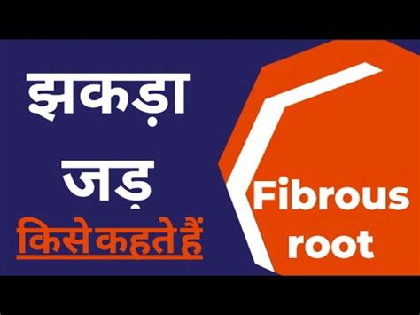 Jhakada Jad Kya Hai Fibrous Root Ncert Biology