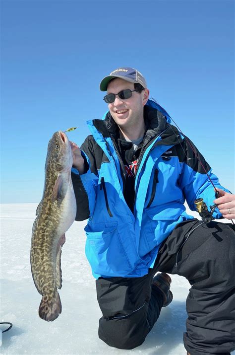 Eelpout a game fish? - Outdoor News