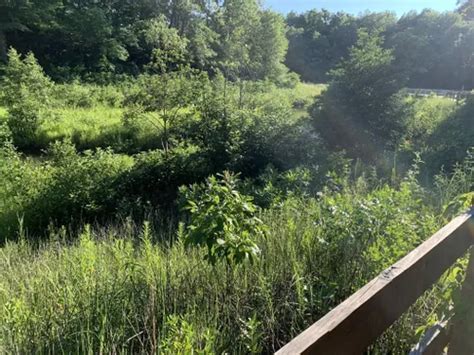 Best Easy Trails In Indiana Dunes State Park Alltrails